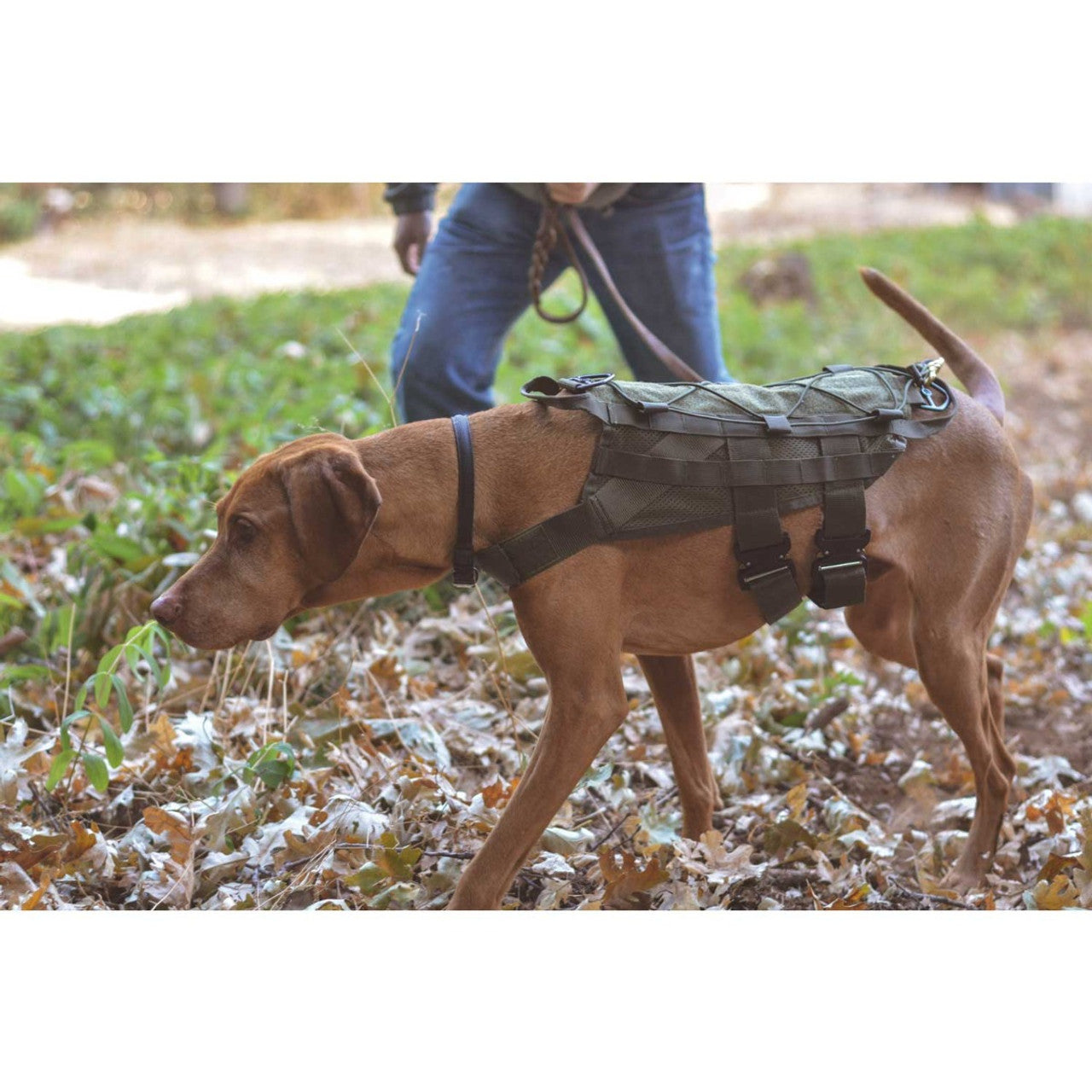 TRACKING & FIELD K9 HARNESS-BLACK
