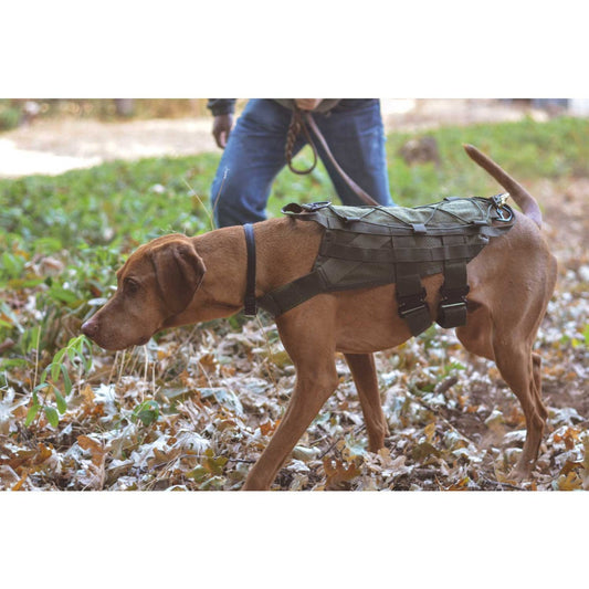 TRACKING & FIELD K9 HARNESS-BLACK
