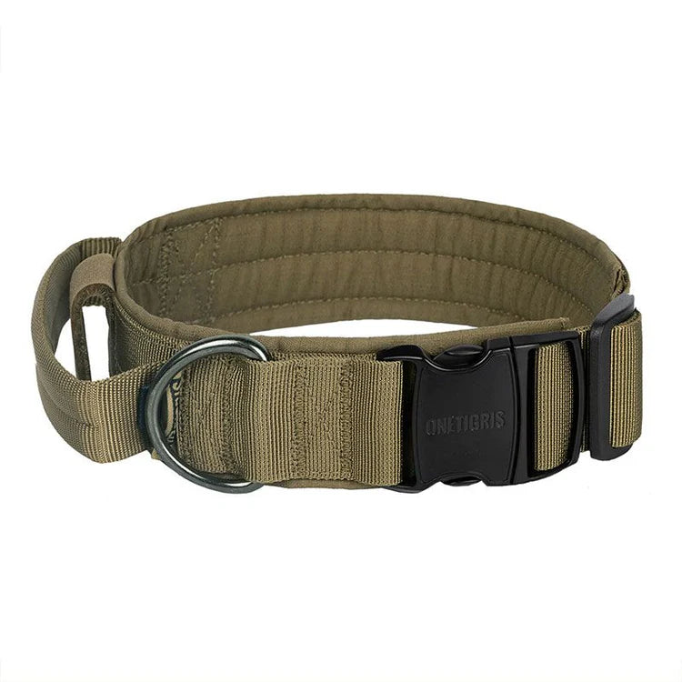 Dog Collar 08