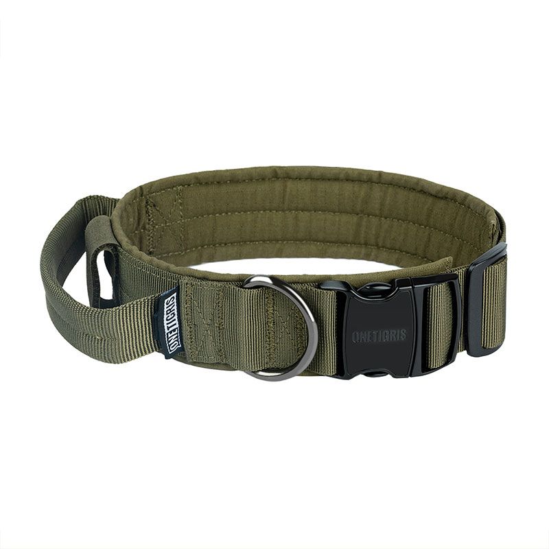 Dog Collar 08